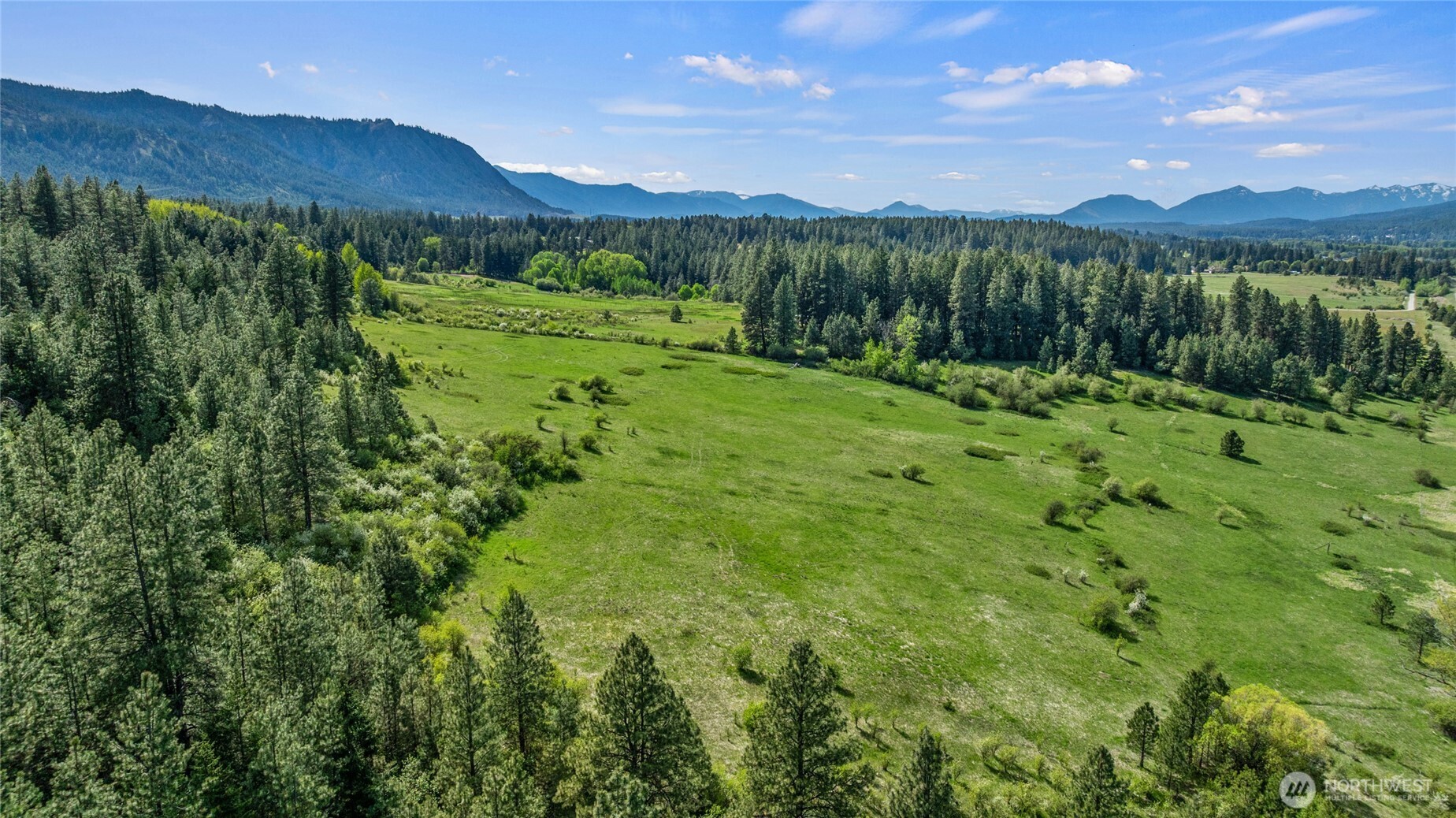 66-x1 Upper Peoh Point Road Cle Elum, WA 98922 - Photo 19 of 32 a view of a lush green forest with mountains in the background