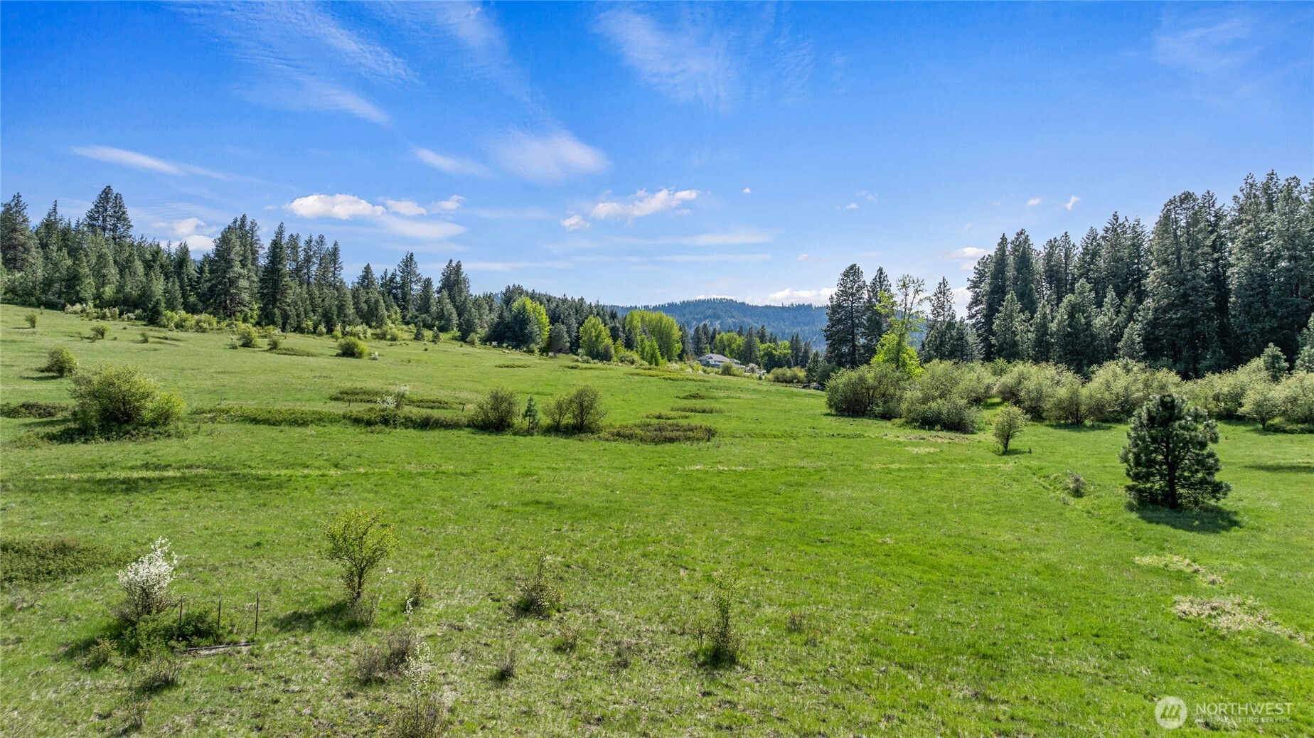 66-x1 Upper Peoh Point Road Cle Elum, WA 98922 - Photo 25 of 32 a view of a lush green space