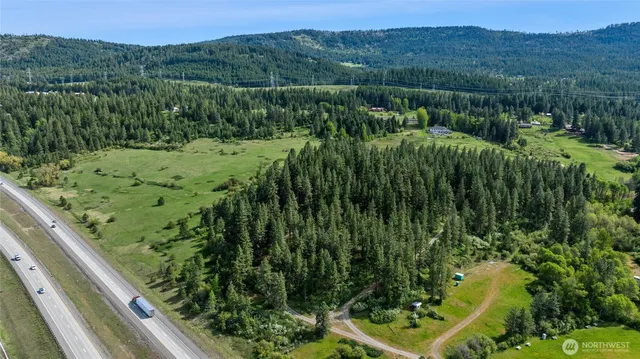 a view of a lush green forest with trees in the background