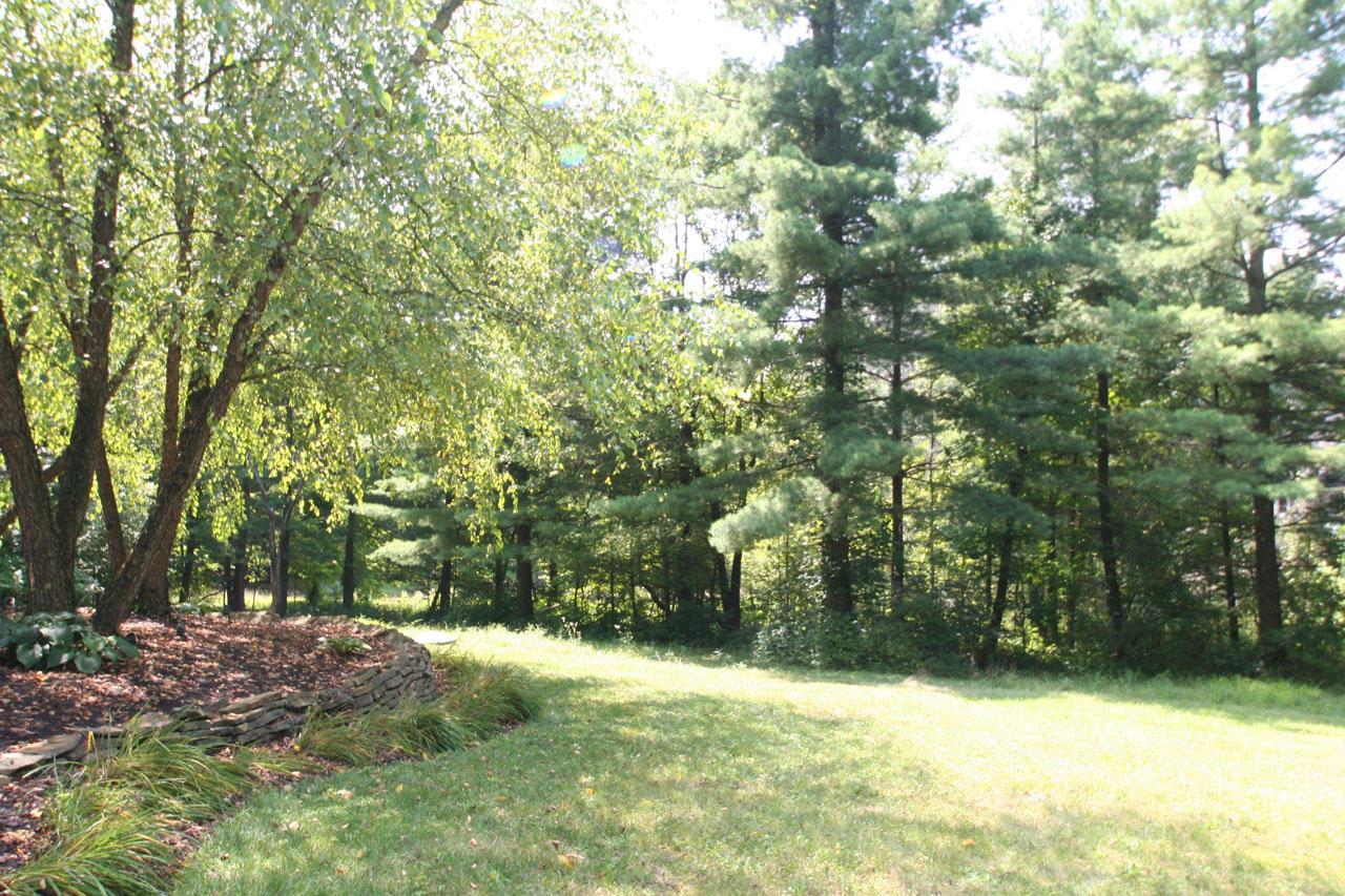 3741 Worthington Road Galena, OH 43021 - Photo 3 of 28