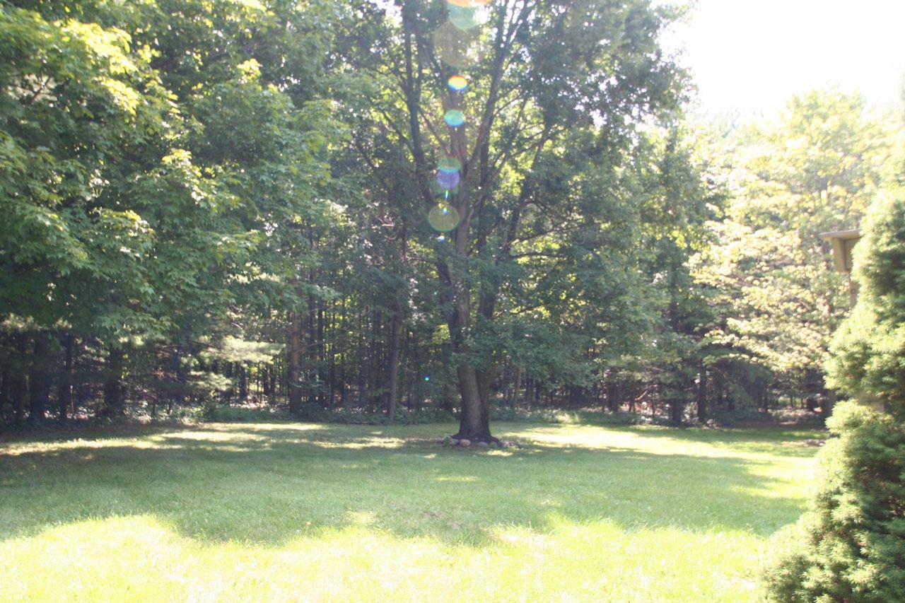 3741 Worthington Road Galena, OH 43021 - Photo 4 of 28