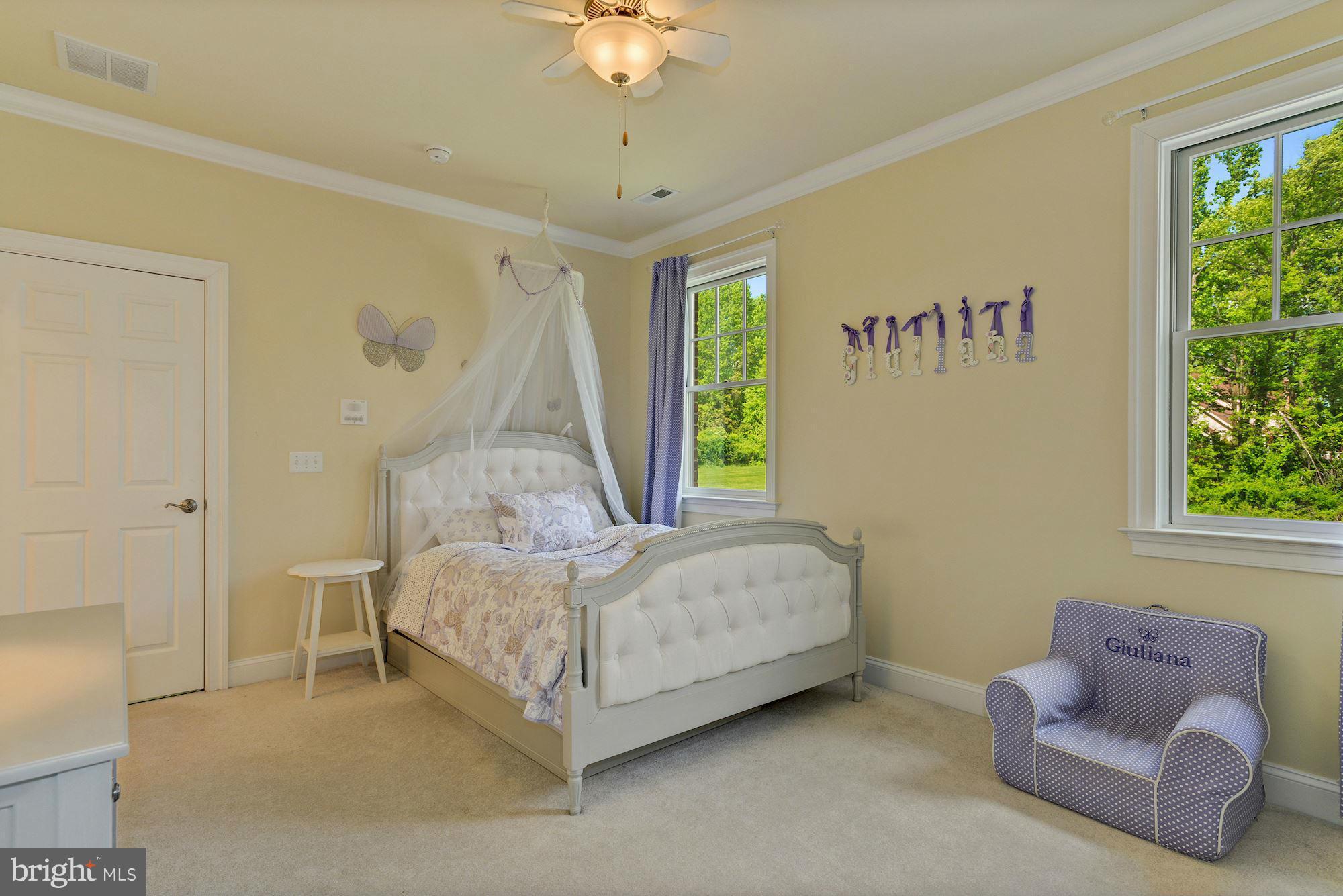 3718 Blenheim Road Phoenix, MD 21131 - Photo 20 of 30 Upper Level Bedroom