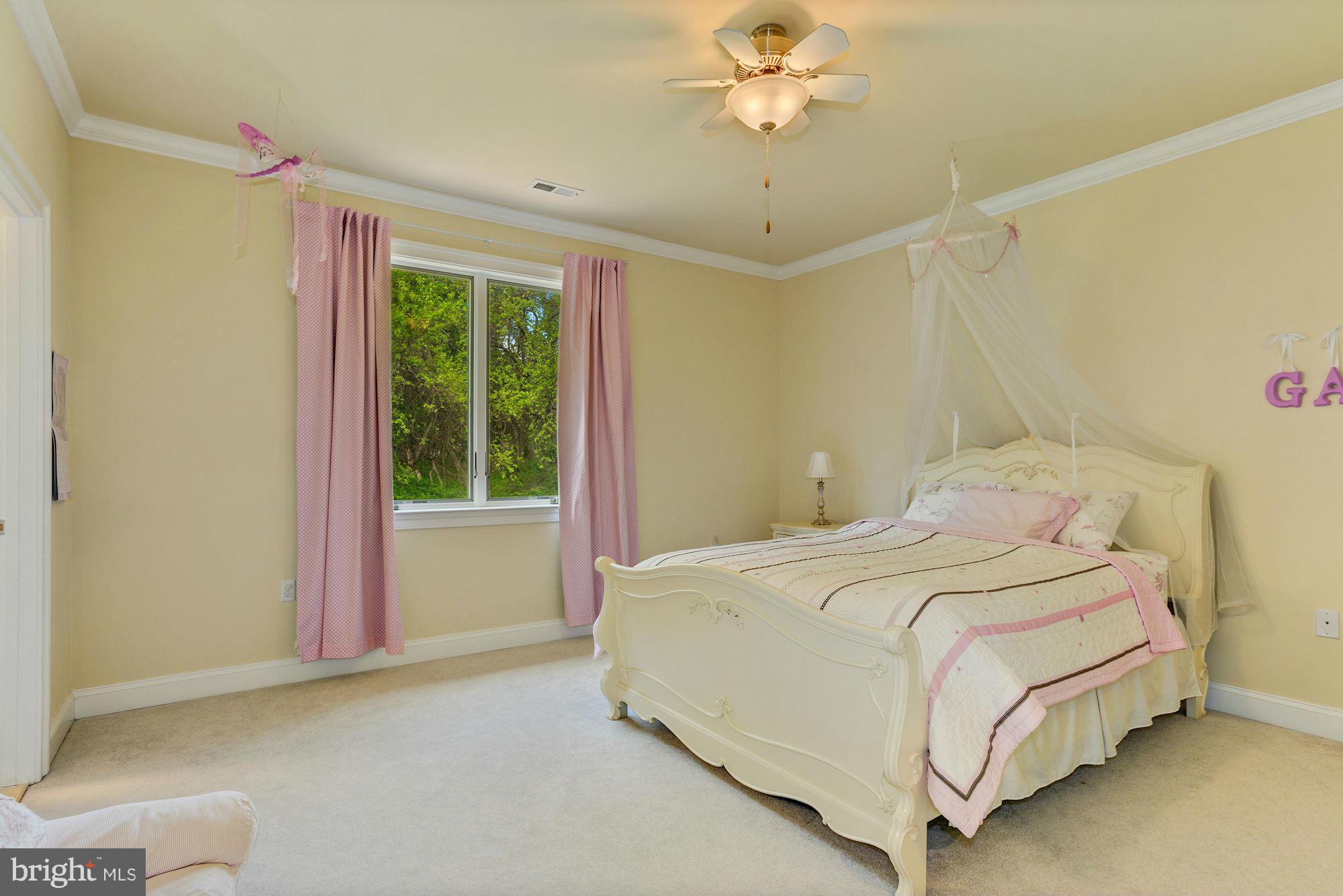 3718 Blenheim Road Phoenix, MD 21131 - Photo 21 of 30 Upper Level Bedroom