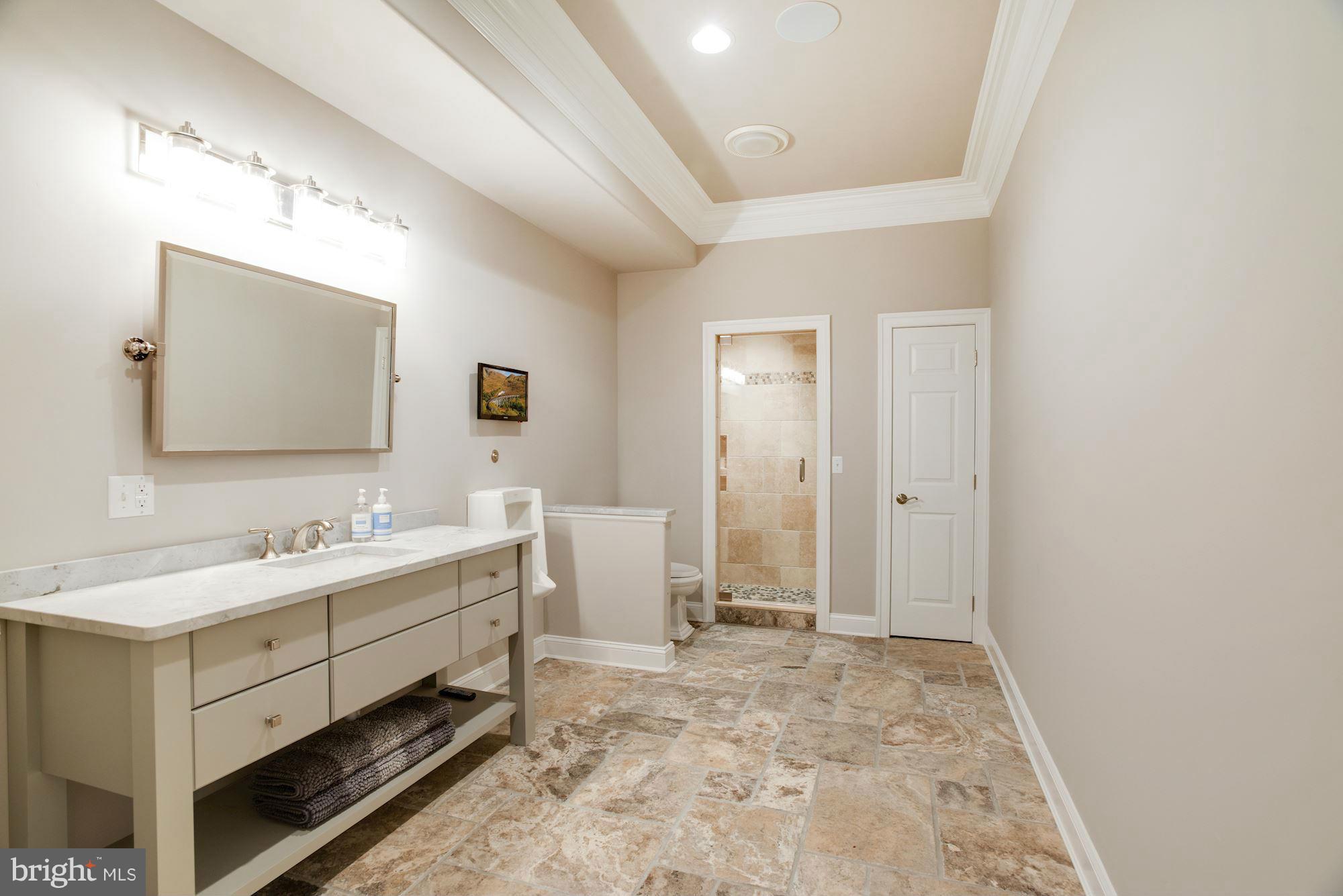 3718 Blenheim Road Phoenix, MD 21131 - Photo 30 of 30 Lower Level Bath