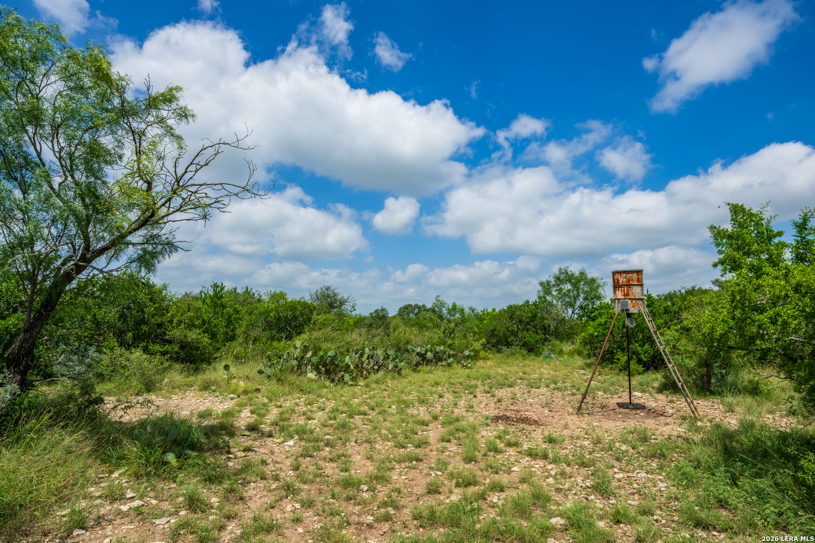 0 Miller Road Uvalde, TX 78801 - Photo 19 of 41
