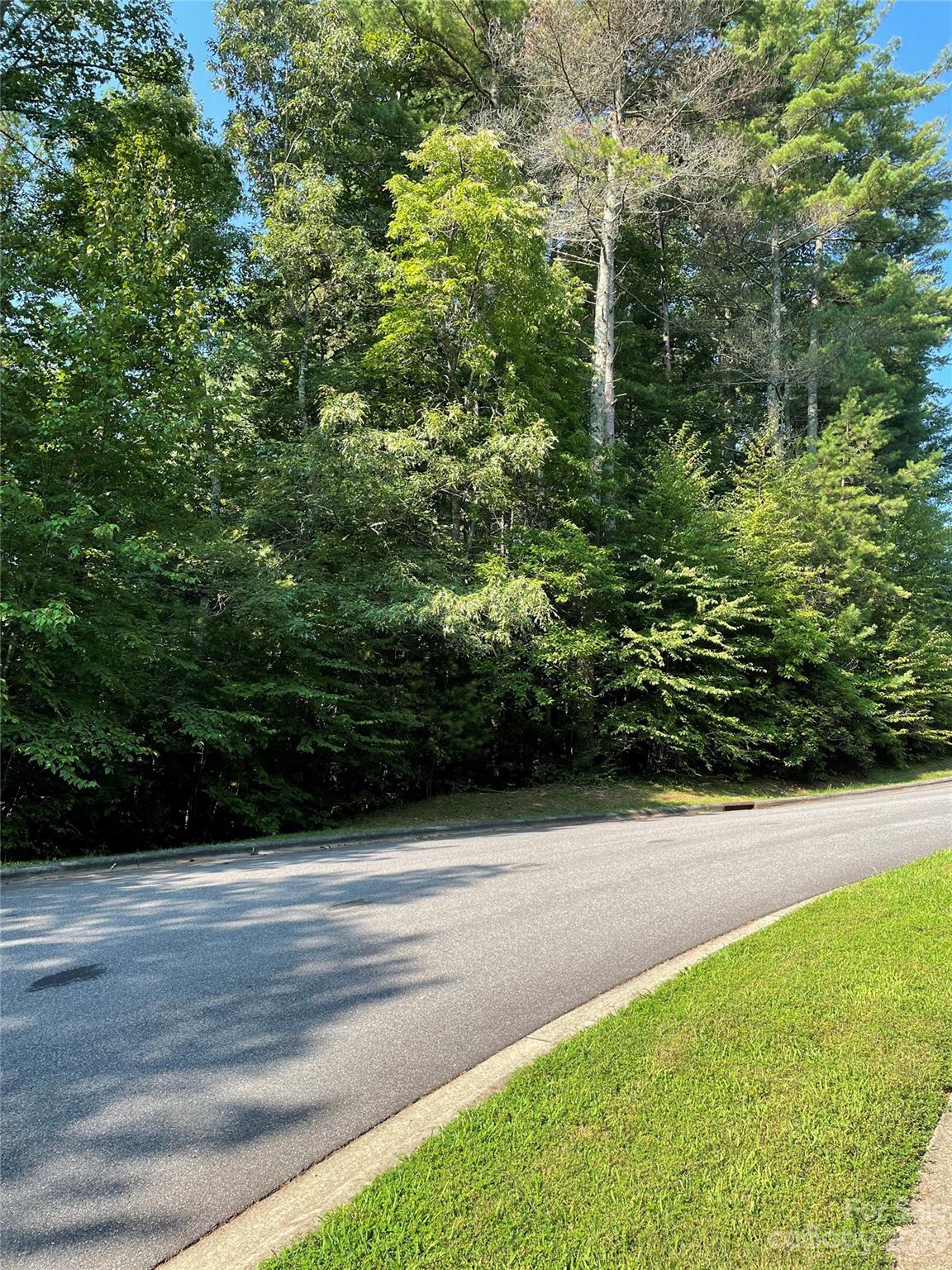 V48-49 Camptown Road, Unit V48&49 Brevard, NC 28712 - Photo 2 of 8