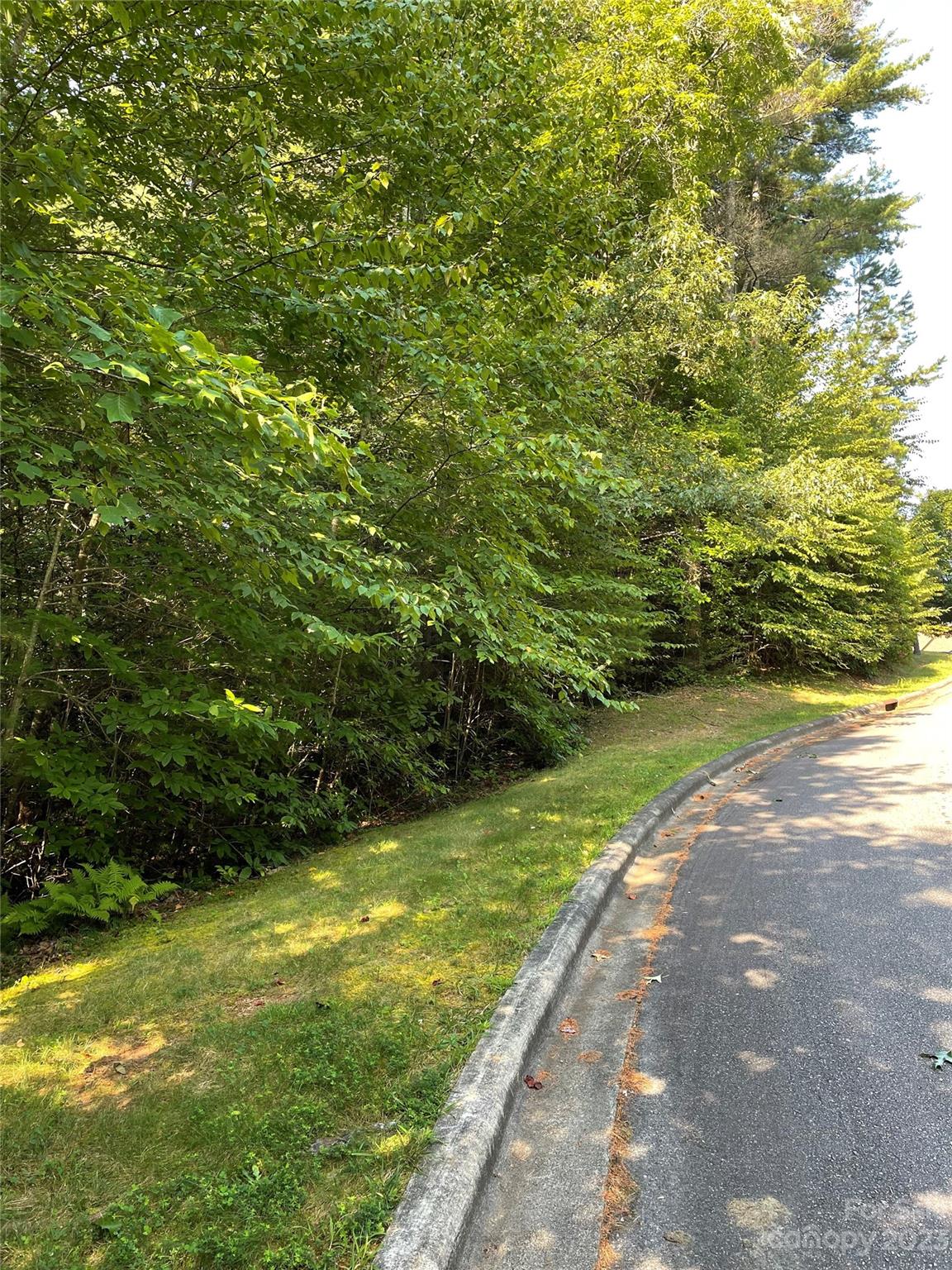 V48-49 Camptown Road, Unit V48&49 Brevard, NC 28712 - Photo 3 of 8