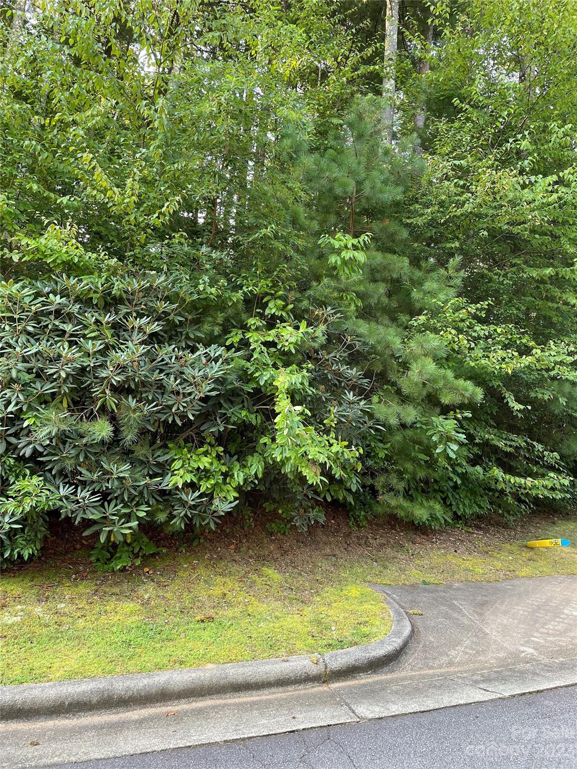 V48-49 Camptown Road, Unit V48&49 Brevard, NC 28712 - Photo 4 of 8