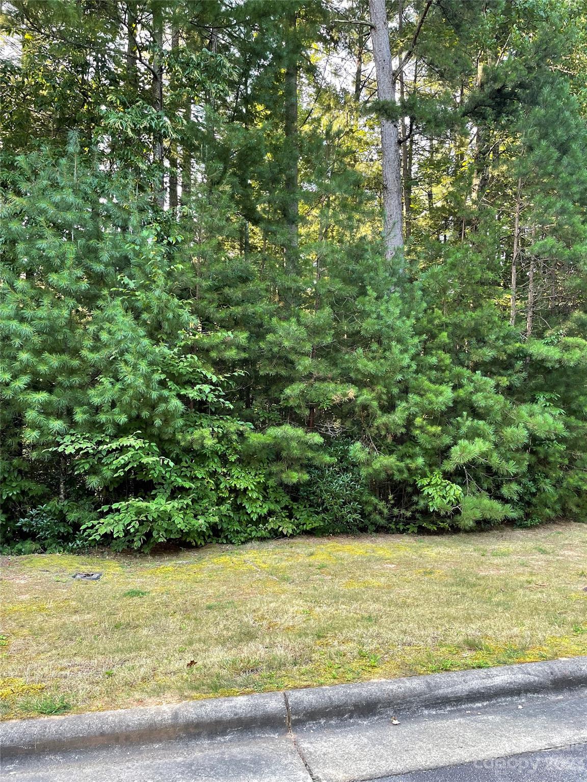 V48-49 Camptown Road, Unit V48&49 Brevard, NC 28712 - Photo 5 of 8