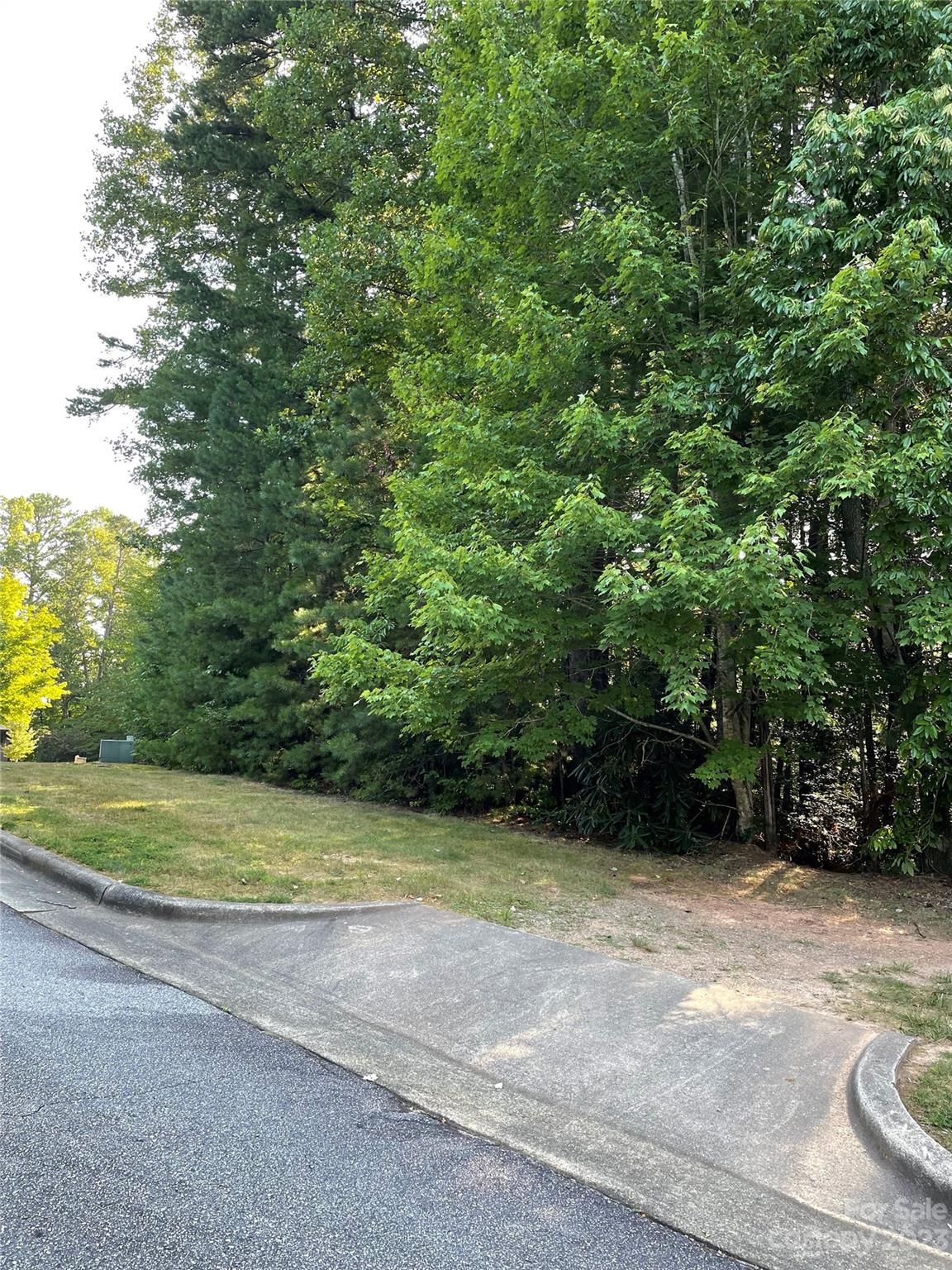 V48-49 Camptown Road, Unit V48&49 Brevard, NC 28712 - Photo 6 of 8