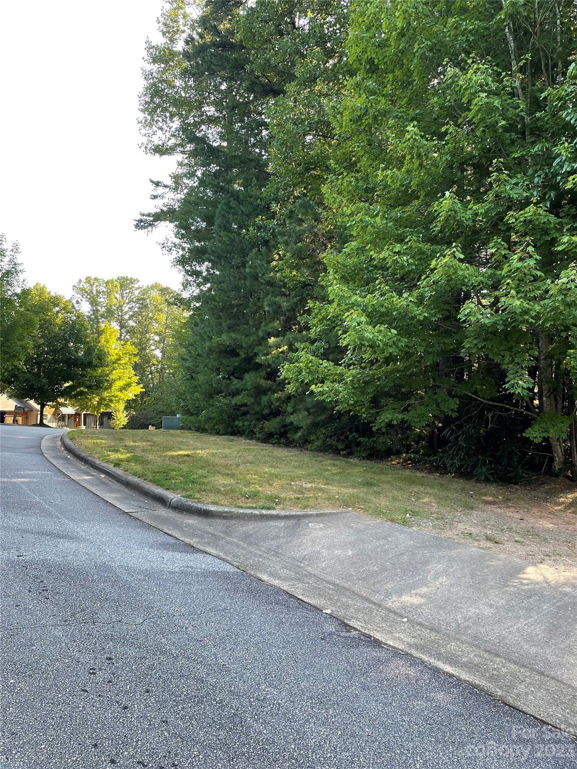 V48-49 Camptown Road, Unit V48&49 Brevard, NC 28712 - Photo 7 of 8