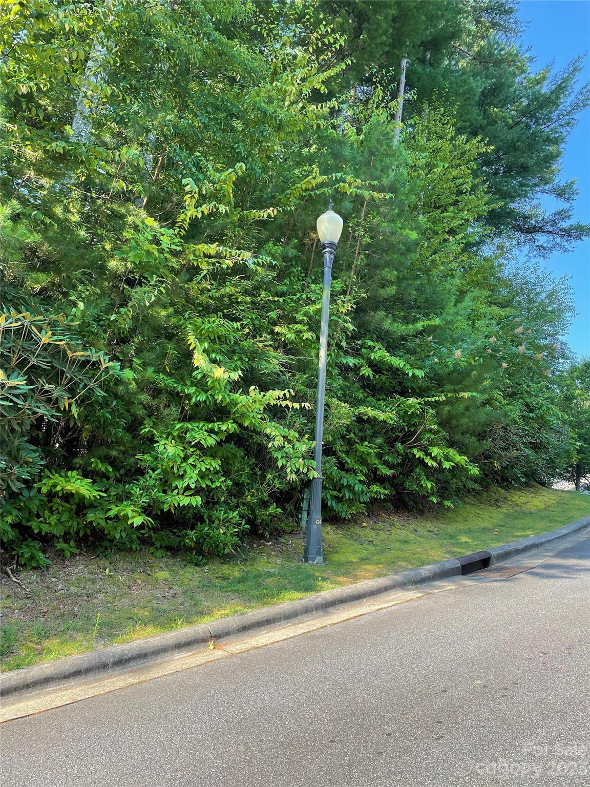 V48-49 Camptown Road, Unit V48&49 Brevard, NC 28712 - Photo 8 of 8