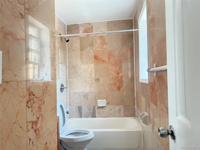 a bathroom with a toilet and a bathtub