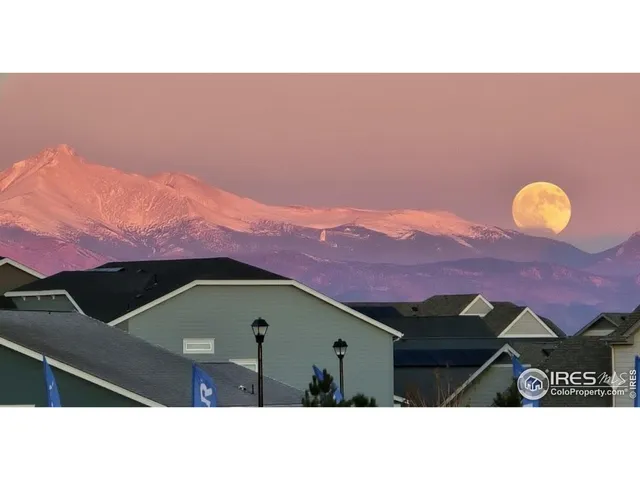 a black and white photo of a lake