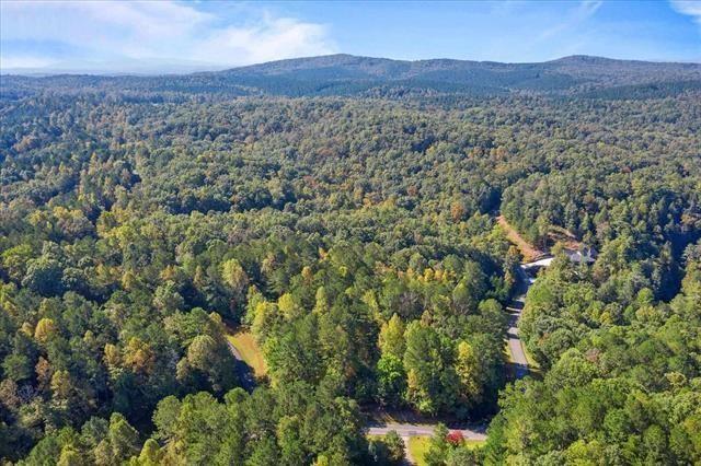 0 Trout Line Court Talking Rock, GA 30175 - Photo 43 of 50 an aerial view of residential house and green space