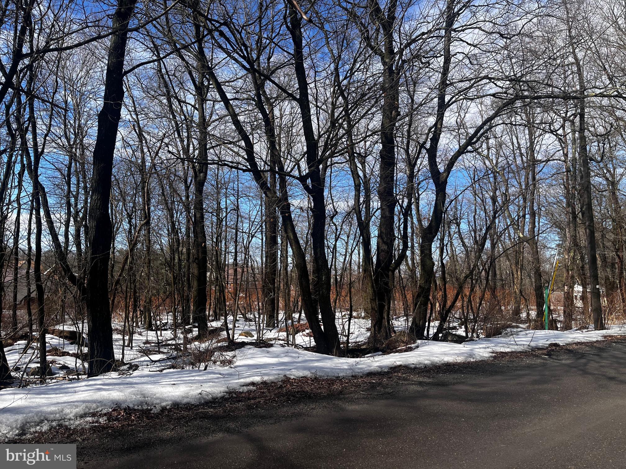 Tresckow Road McAdoo, PA 18237 - Photo 2 of 3