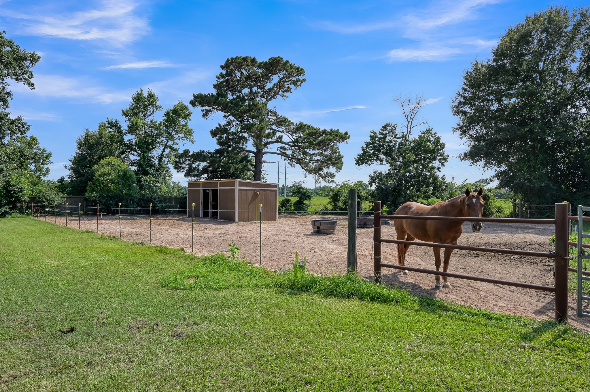 17055 Rogers Road New Waverly, TX 77358 - Photo 6 of 44