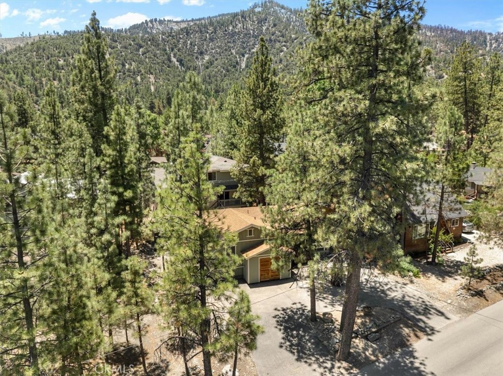 1869 Thrush Road Wrightwood, CA 92397 - Photo 26 of 30