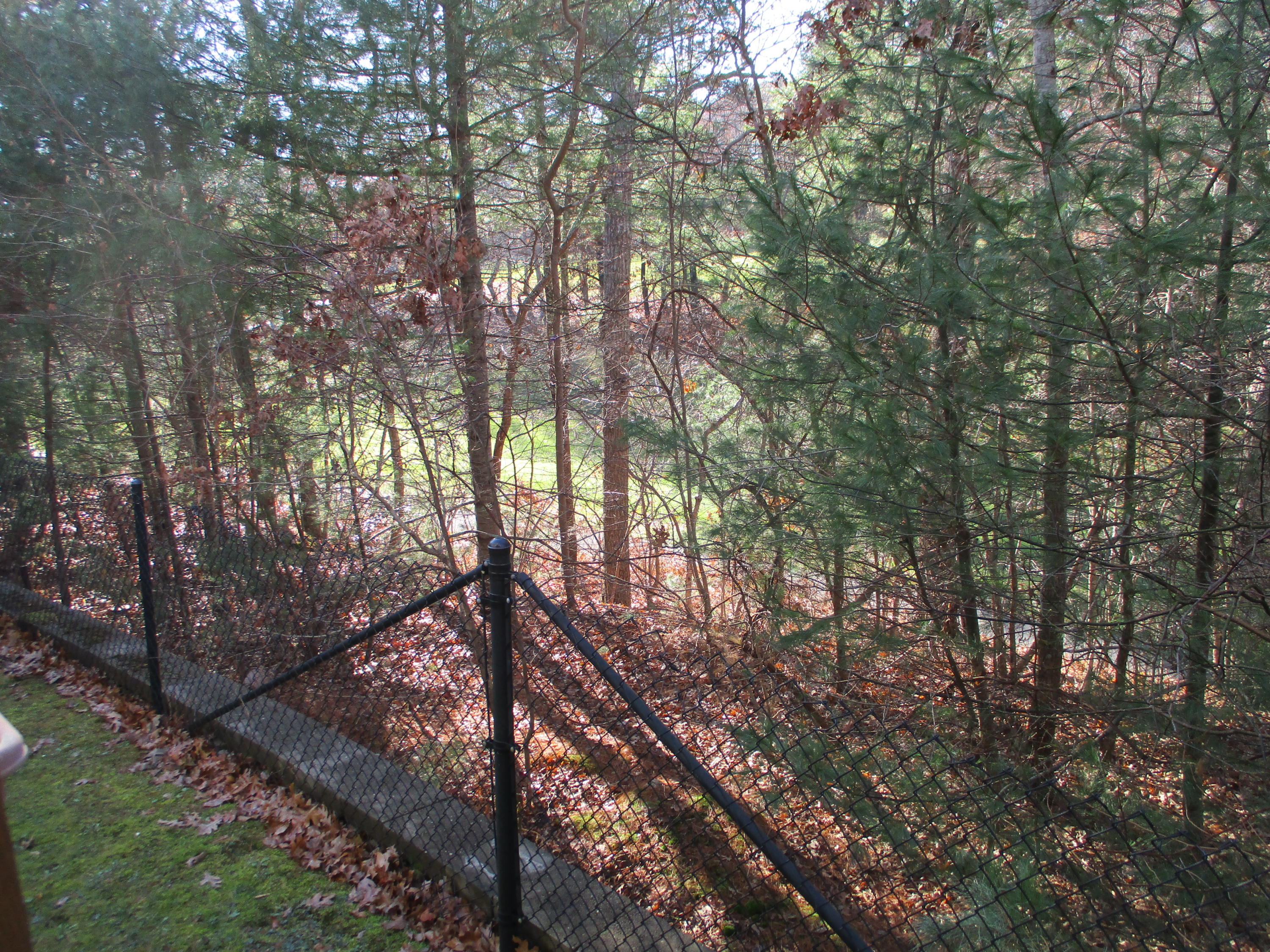 13 North Ridge Road, Unit 440 Mashpee, MA 02649 - Photo 13 of 30 a view of a yard with a tree