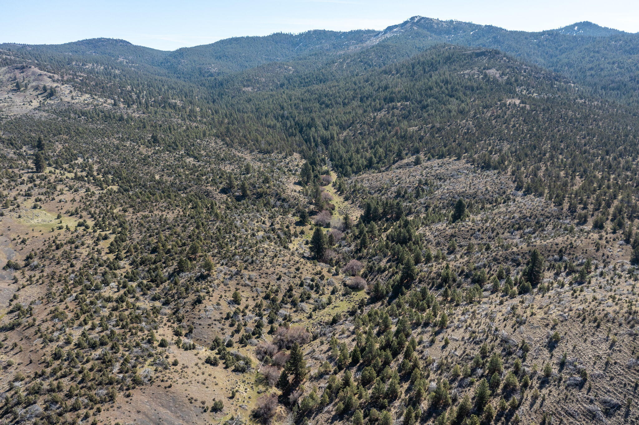 0 Southeast Grizzly Road, Unit 1215000000100 Madras, OR 97741 - Photo 12 of 39 a view of a large mountain in the distance