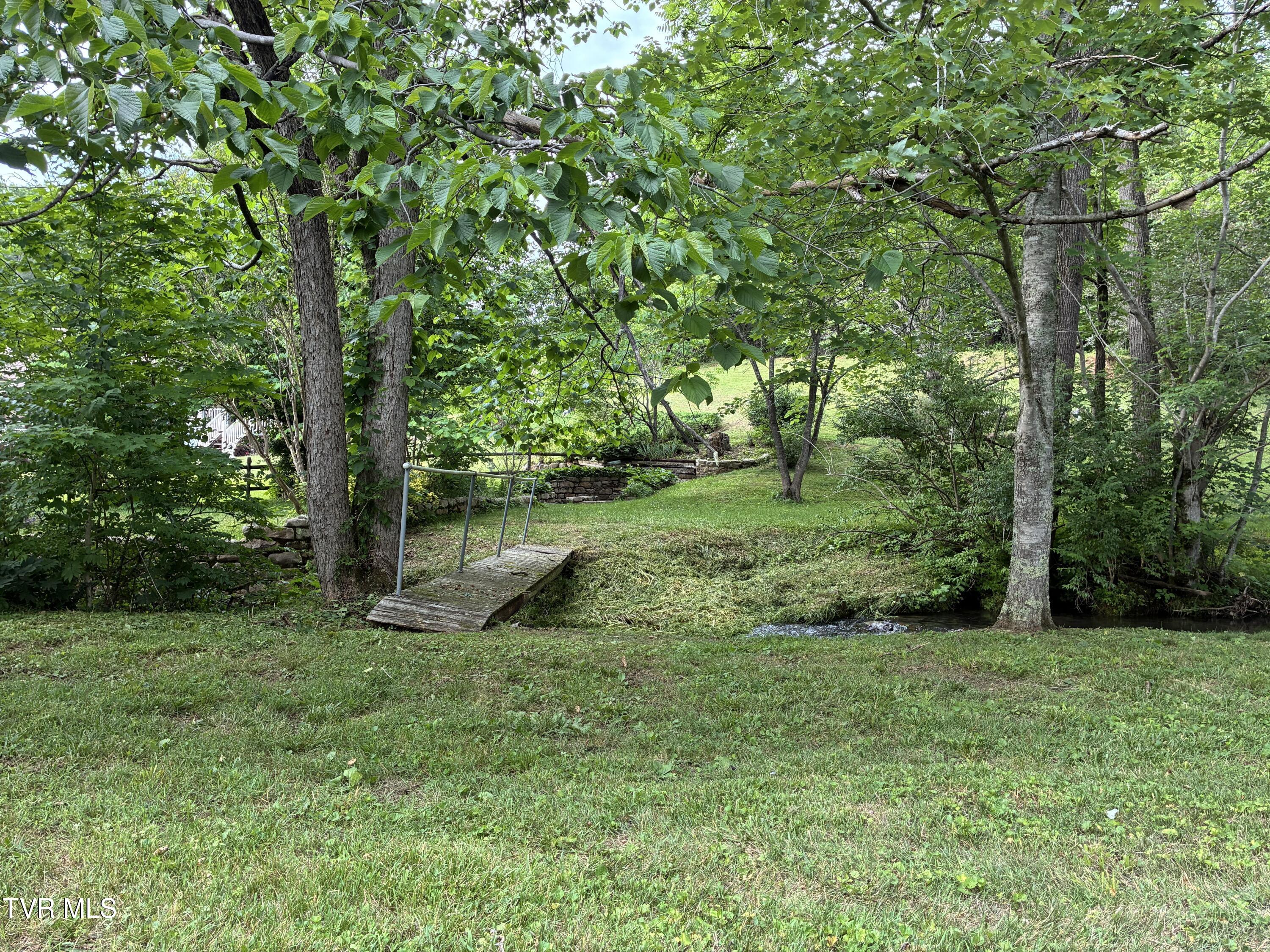 940 Middle Creek Road Afton, TN 37616 - Photo 8 of 80 Landscape 7