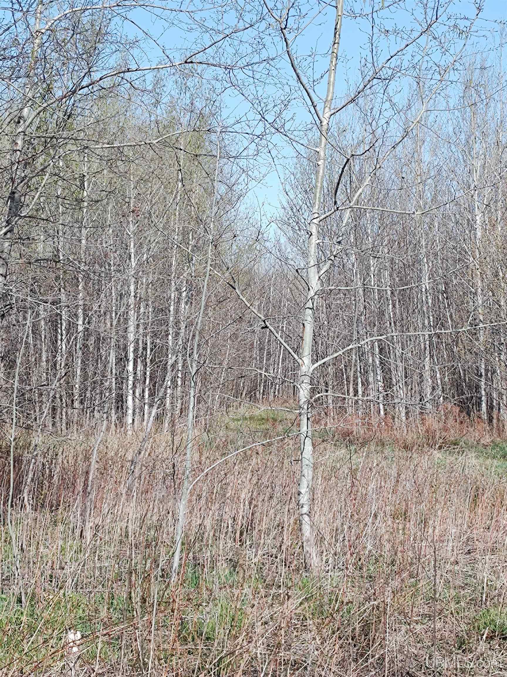 Tbd Tbd Schooner Road Ontonagon, MI 49953 - Photo 41 of 44