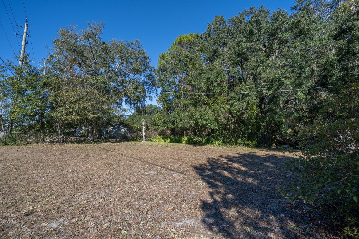 464135 State Road 200 Yulee, FL 32097 - Photo 7 of 27 a view of empty area with green trees
