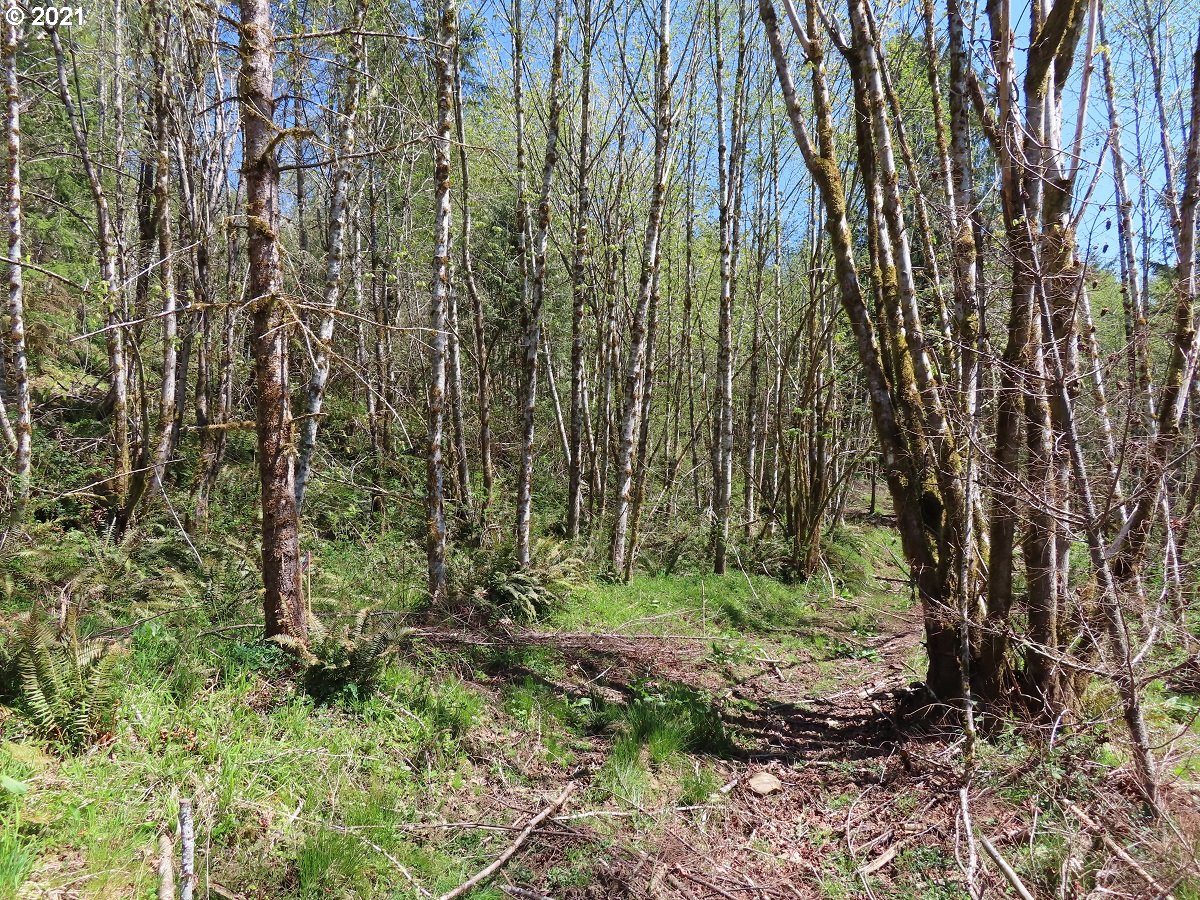 Stewart Spur Road, Unit 13 Kelso, WA 98626 - Photo 27 of 29 Gallery Image 27