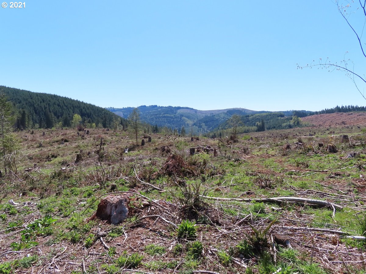 Stewart Spur Road, Unit 13 Kelso, WA 98626 - Photo 7 of 29 Gallery Image 7