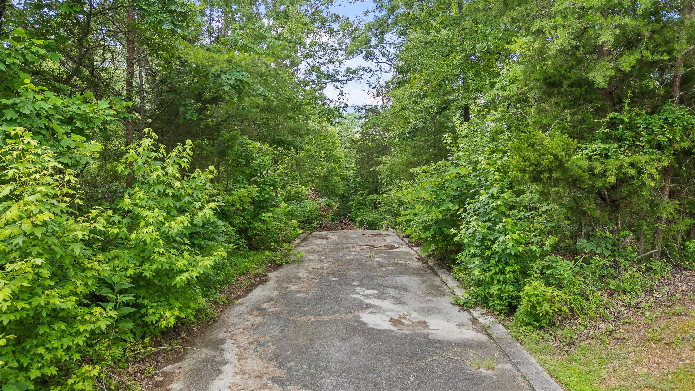 0 Cloud 9 Lane Chickamauga, GA 30707 - Photo 24 of 24 24-Cloud 9-23