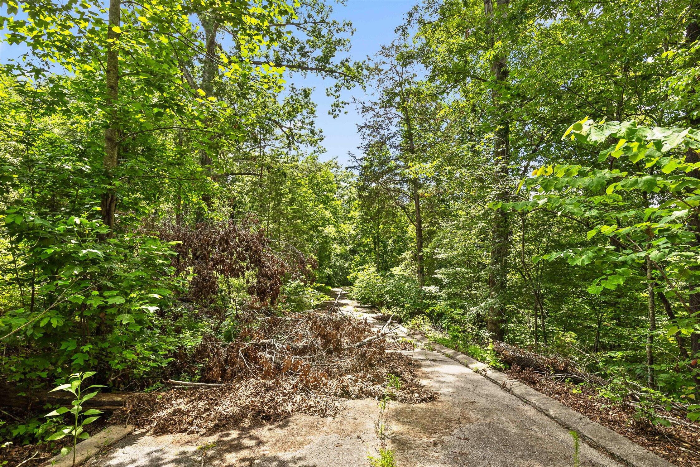 0 Cloud 9 Lane Chickamauga, GA 30707 - Photo 4 of 24 03-Cloud 9-2