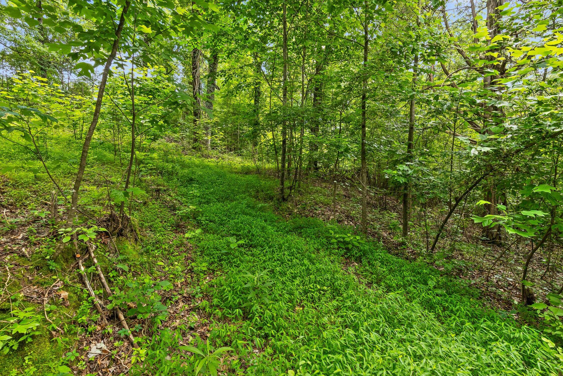 0 Cloud 9 Lane Chickamauga, GA 30707 - Photo 7 of 24 07-Cloud 9-6