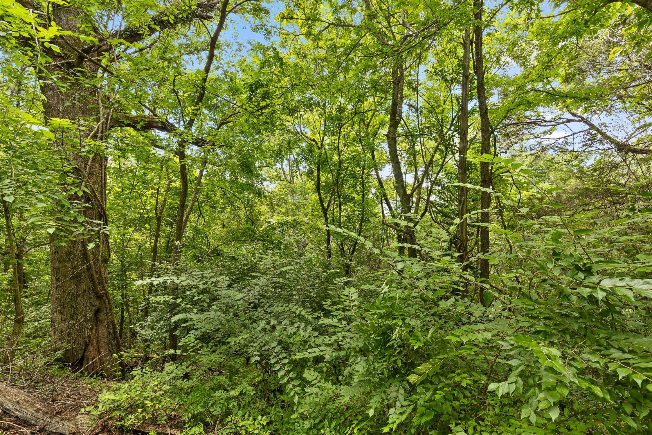 0 Cloud 9 Lane Chickamauga, GA 30707 - Photo 8 of 24 08-Cloud 9-7
