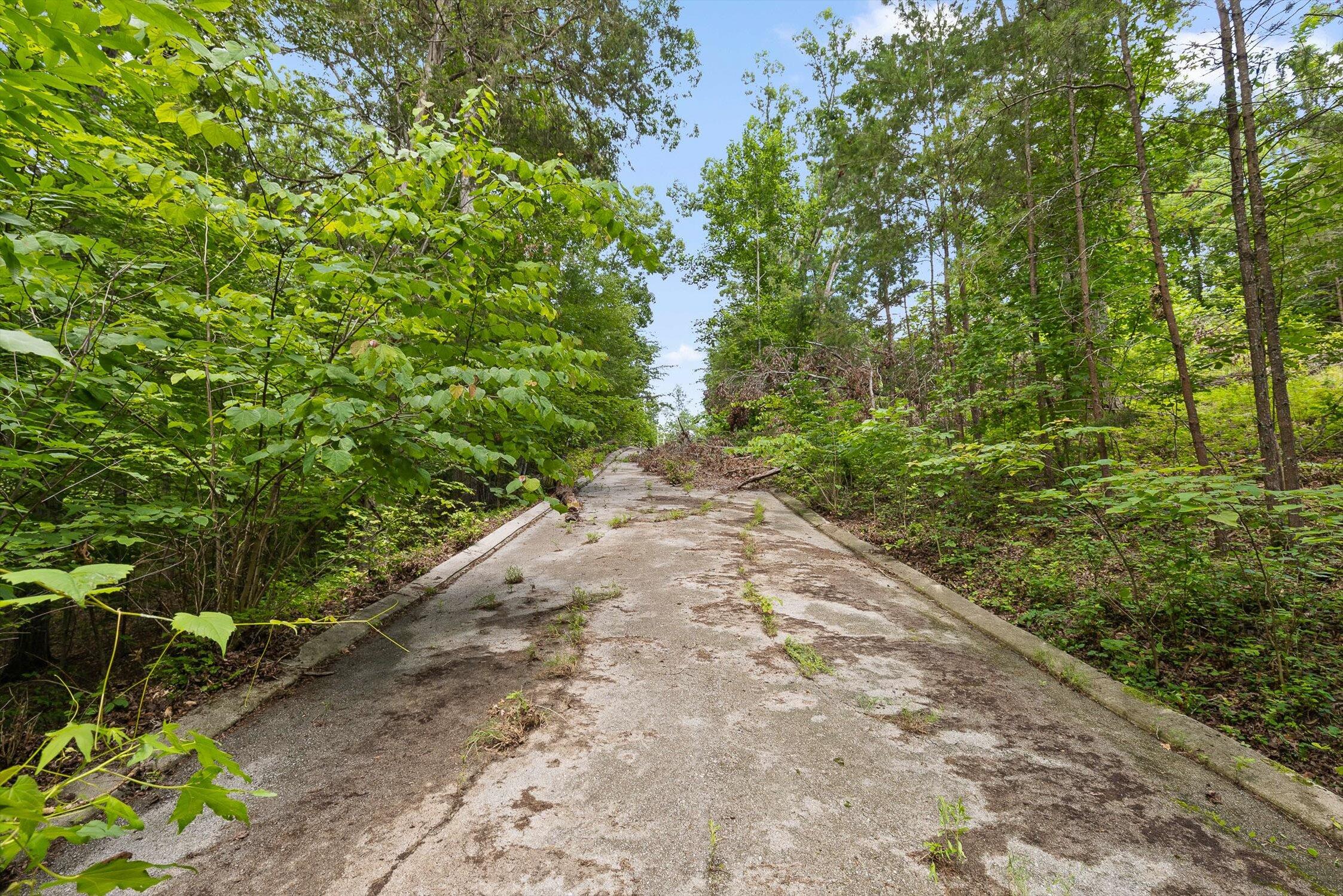 0 Cloud 9 Lane Chickamauga, GA 30707 - Photo 9 of 24 09-Cloud 9-8