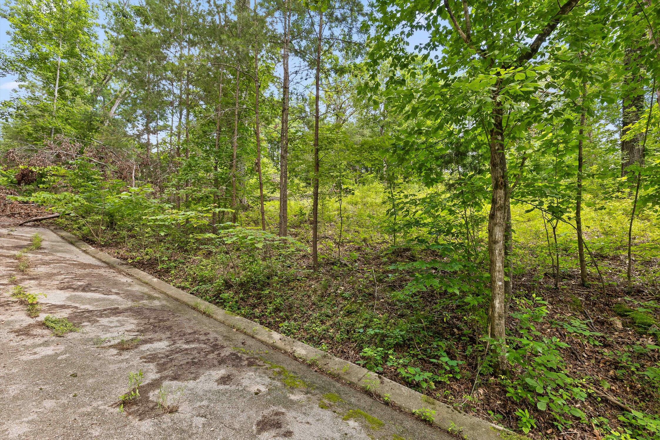 0 Cloud 9 Lane Chickamauga, GA 30707 - Photo 10 of 24 10-Cloud 9-9