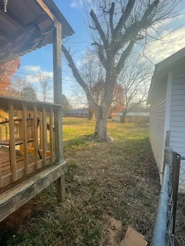 a bathroom with a toilet sink and a large tree