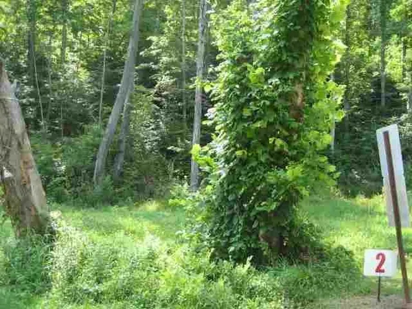 $20,000 | Lot #2 Short White Oak Road, Russell, KY 41169