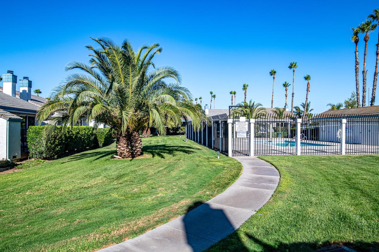 5644 Schooner Loop Discovery Bay, CA 94505 - Photo 33 of 42 a garden with palm trees