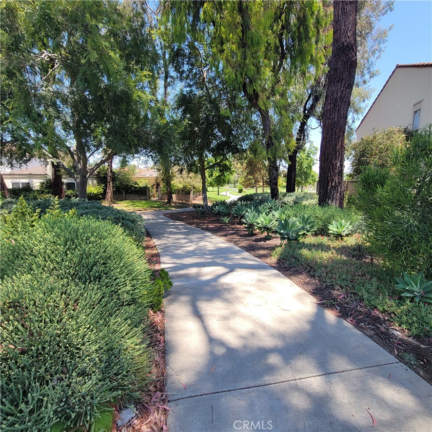 11 Meadowsweet Way Irvine, CA 92612 - Photo 29 of 35 a view of a yard with plants and trees