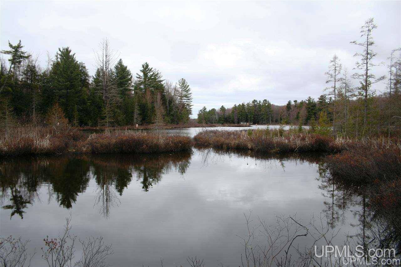 N179 North Round Lake Road Wetmore, MI 49895 - Photo 6 of 40 Gallery Image 6