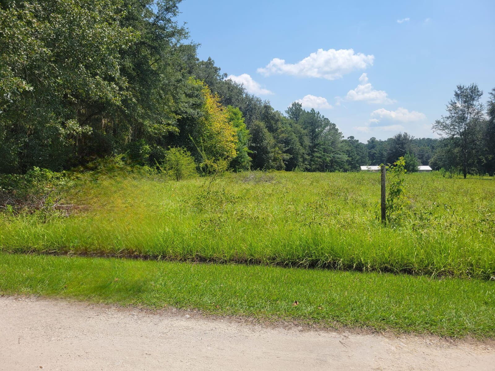 0 Southwest 67th Drive Lake Butler, FL 32054 - Photo 2 of 3 a view of a yard