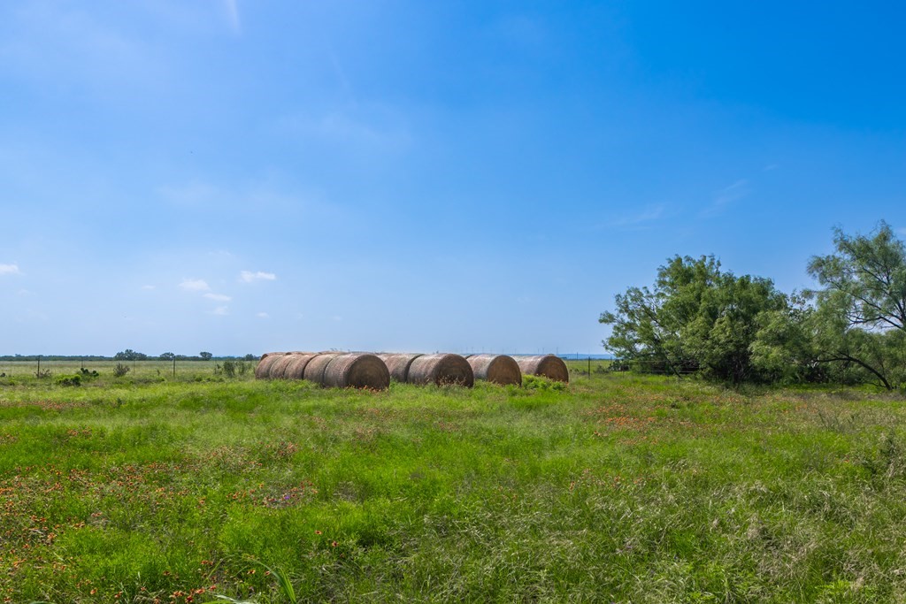 88291 Suaa Rd Well Lohn, TX 76852 - Photo 32 of 44