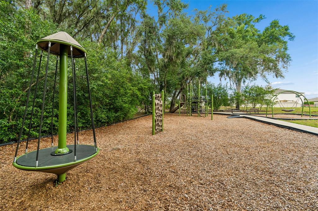 6065 Spring Crayfish Avenue New Port Richey, FL 34653 - Photo 53 of 61