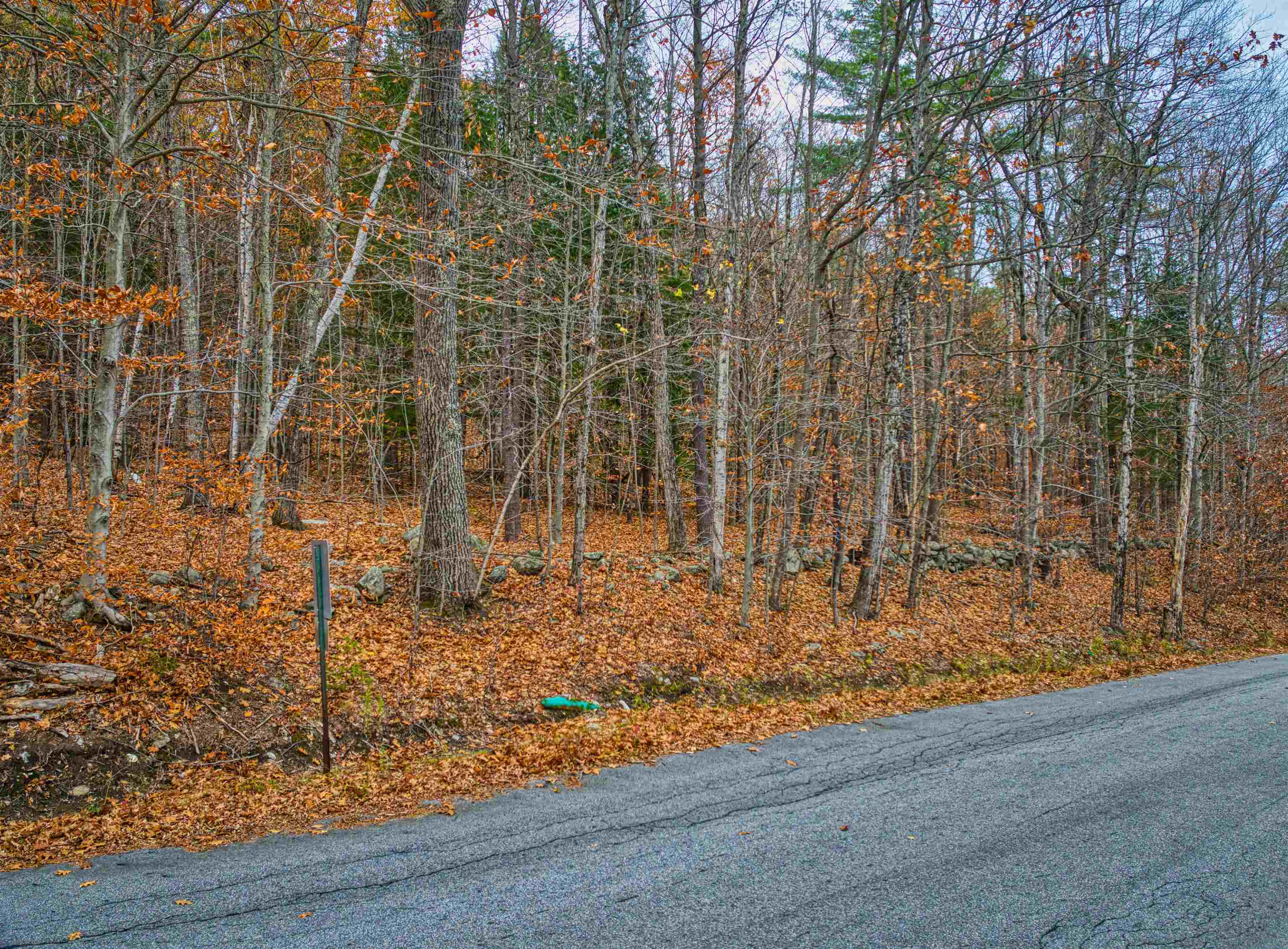 0 Prospect Hill Road Sunapee, NH 03782 - Photo 5 of 8