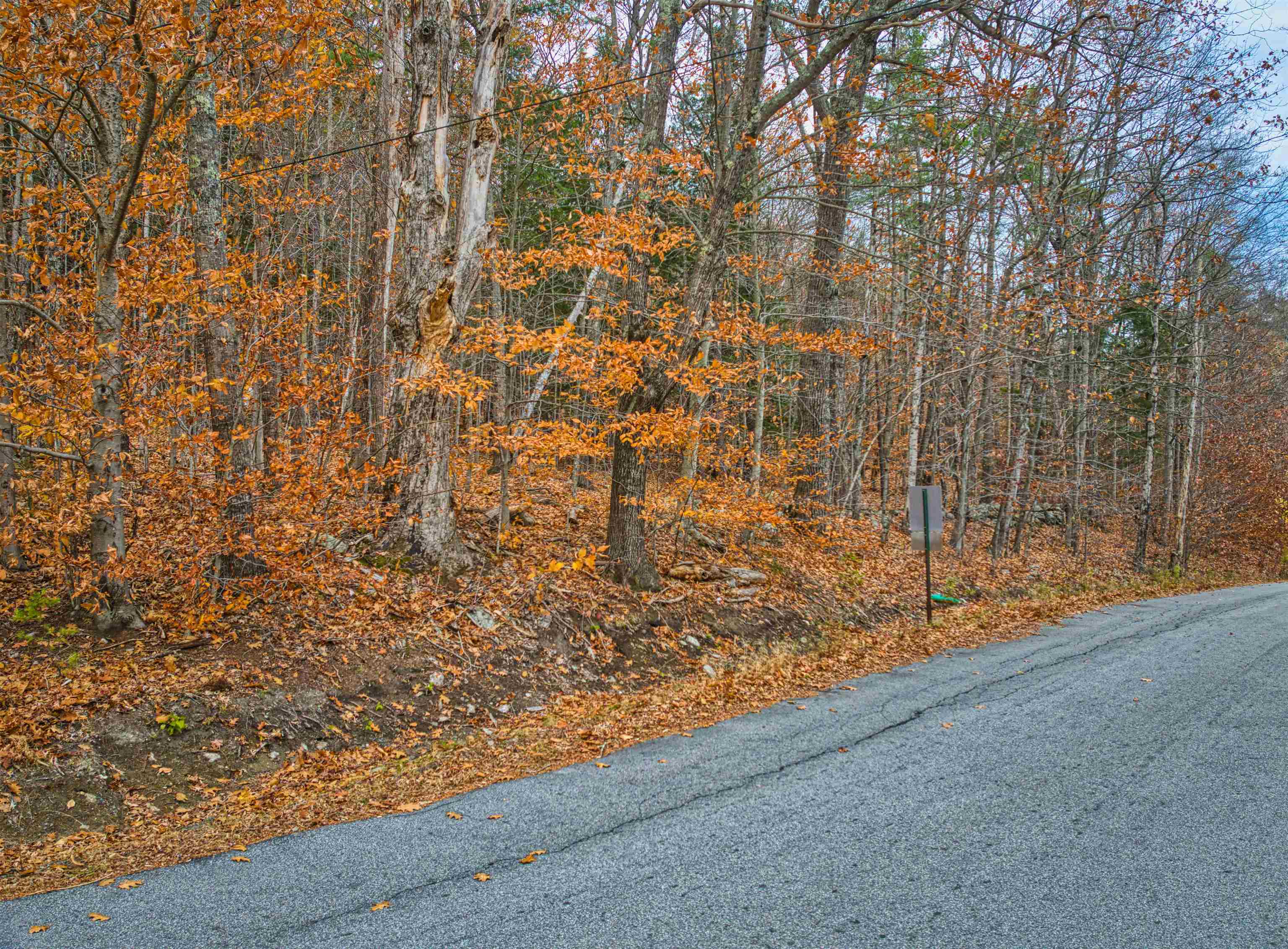 0 Prospect Hill Road Sunapee, NH 03782 - Photo 8 of 8