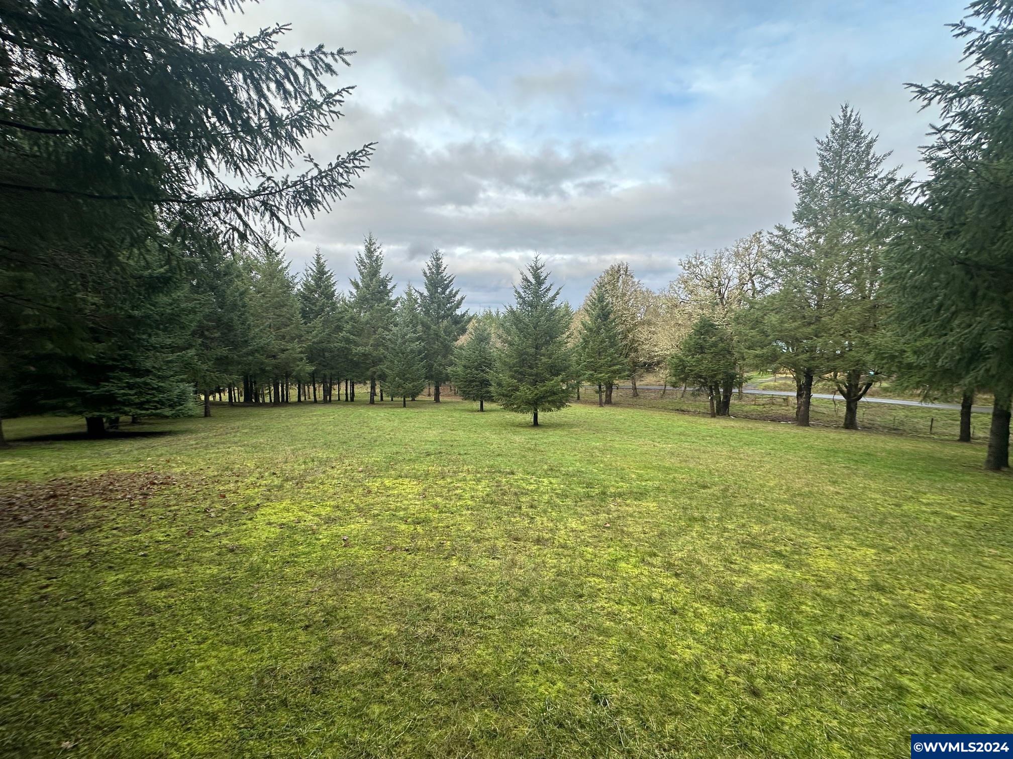 Tl#436096 May Road Dallas, OR 97338 - Photo 8 of 17