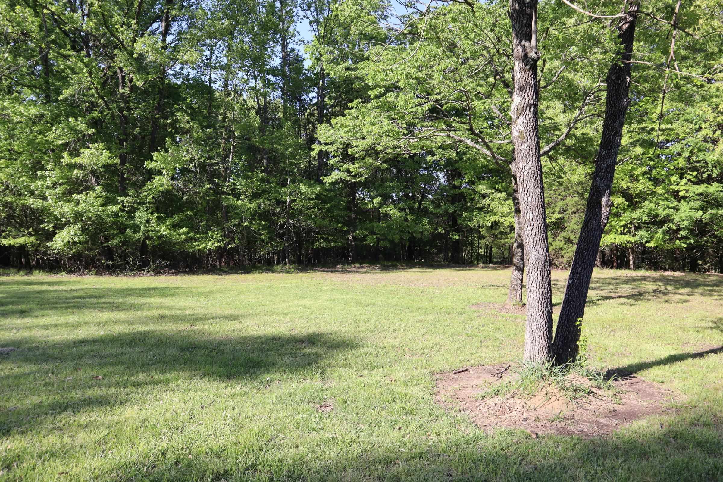3895 Planters View Road Bartlett, TN 38133 - Photo 3 of 5 Gallery Image 3