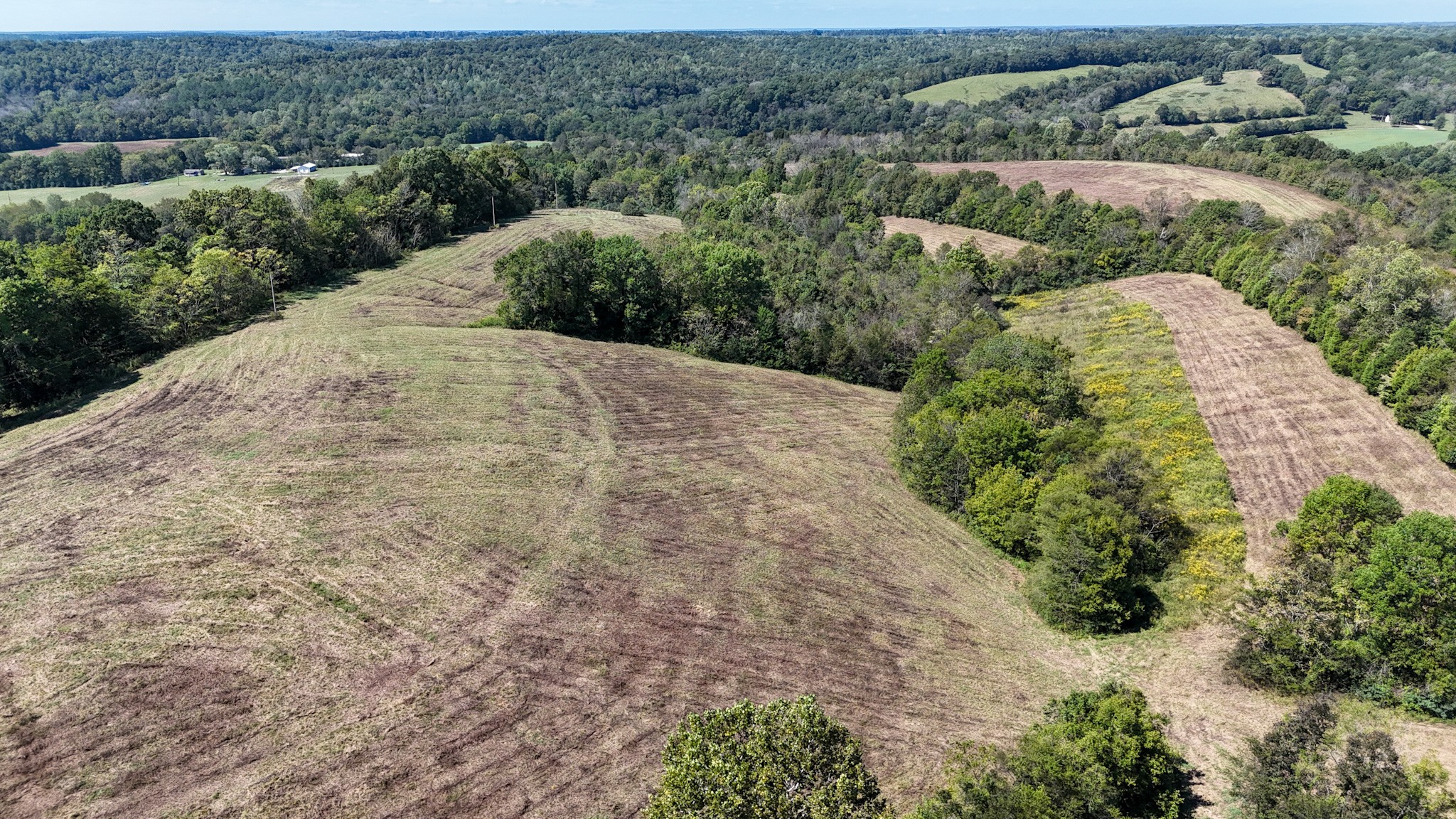 0 Knob Creek Road Westpoint, TN 38486 - Photo 11 of 57
