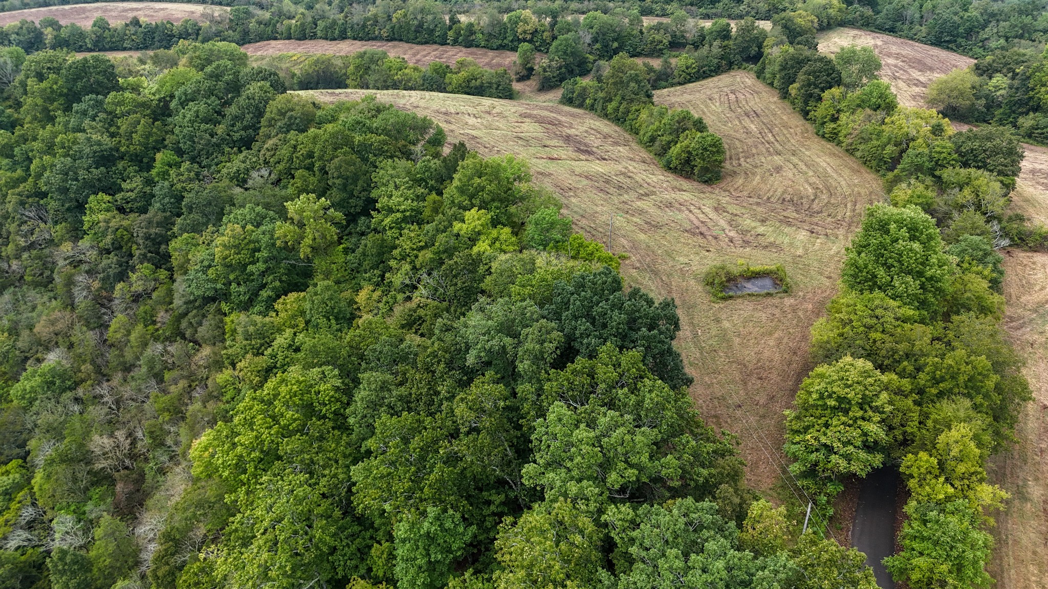 0 Knob Creek Road Westpoint, TN 38486 - Photo 15 of 57