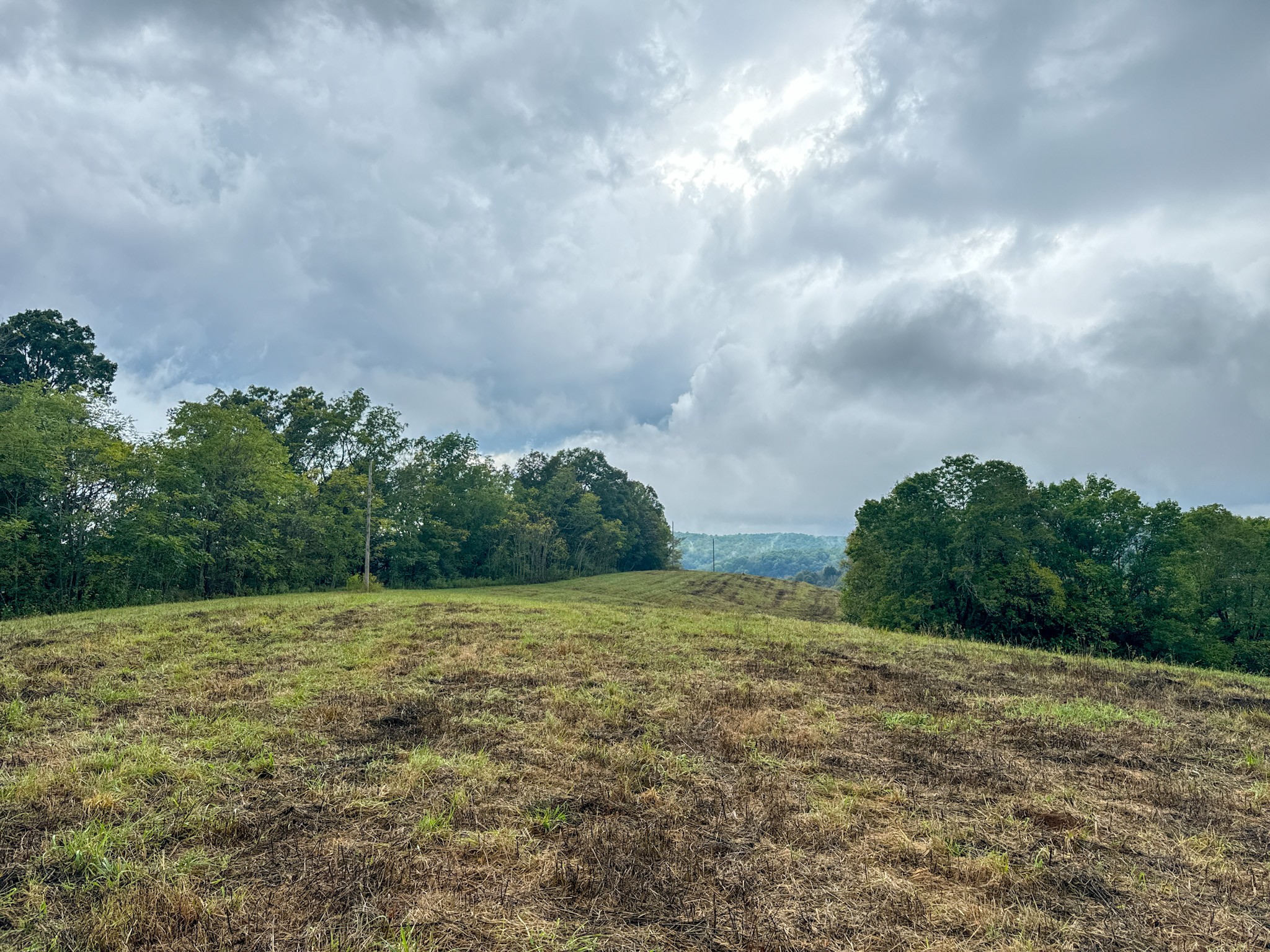 0 Knob Creek Road Westpoint, TN 38486 - Photo 19 of 57